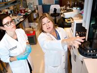 Dr. Dana Boyd Barr