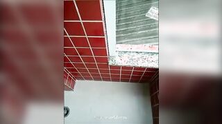 THE NEXT-DOOR NEIGHBORS