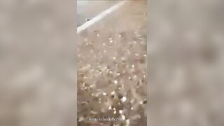 The end of a successful date1