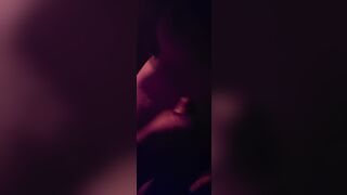 7 3/4 Stud From Maine.