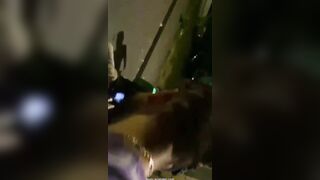 rent an electric scooter