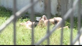 lesbian love in the grass