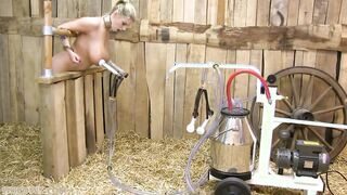 Milking It