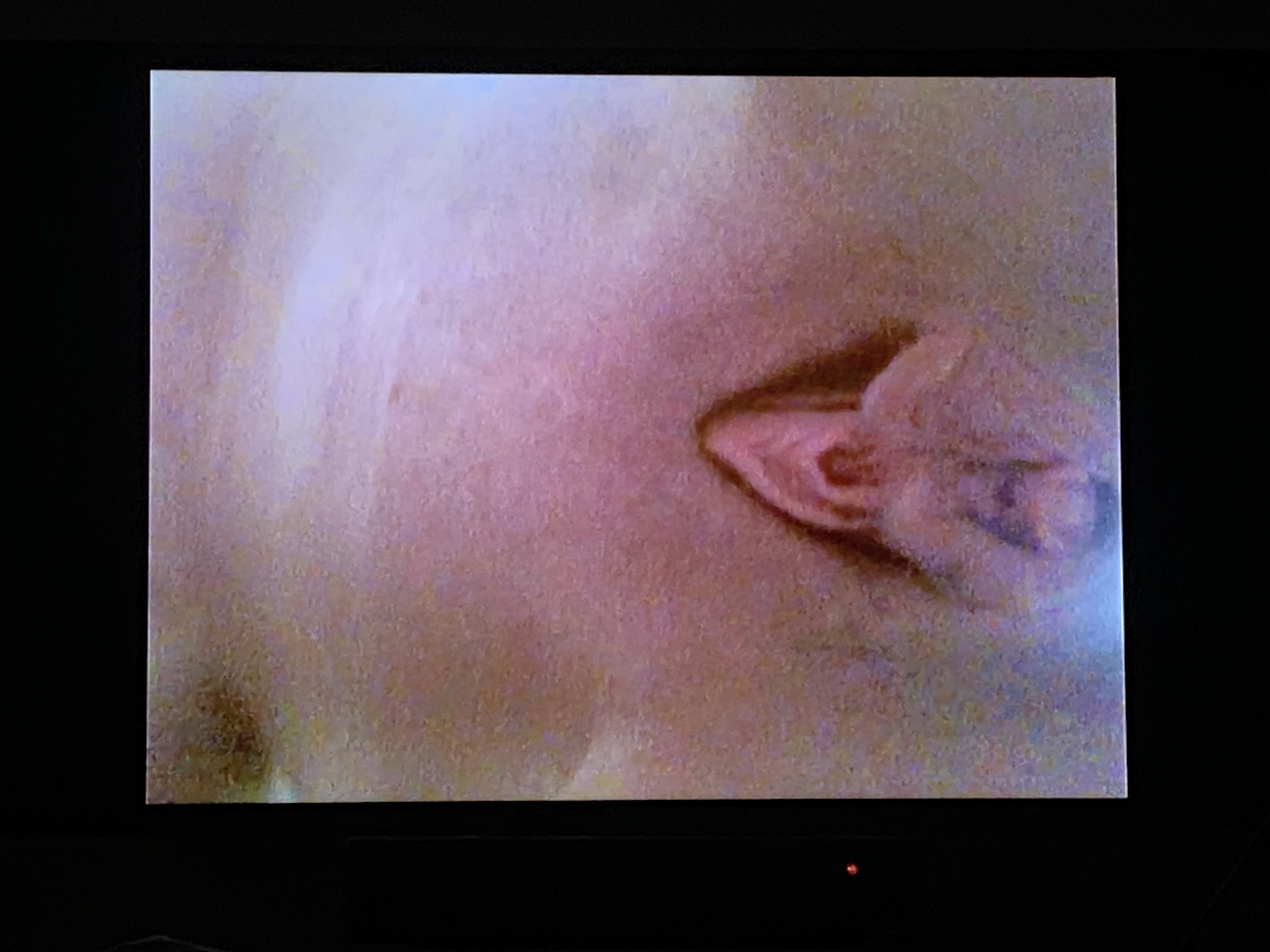 Lisa Vallier from behind