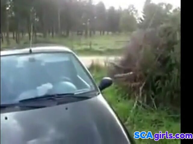 Svenska utomhuspublik