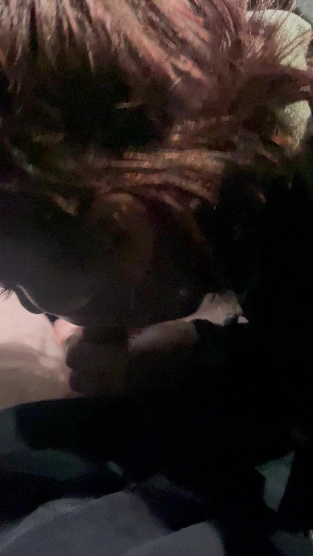 She was begging to suck my cock